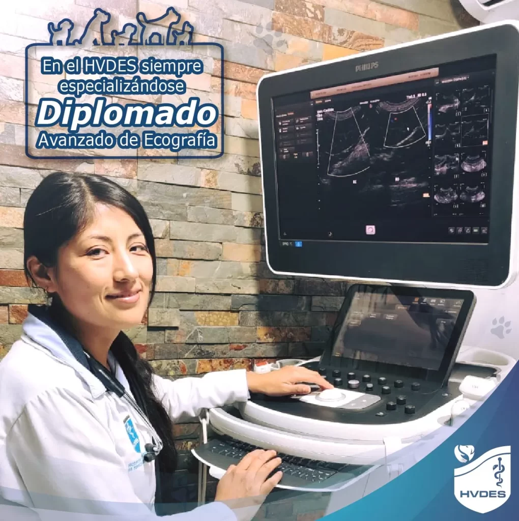 Dra. María Cristina Caiza esta cursando el Diplomado avanzado de Ecografía