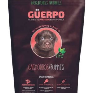 cachorros con sobre peso