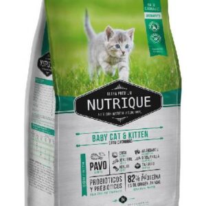 alimento para gatitos