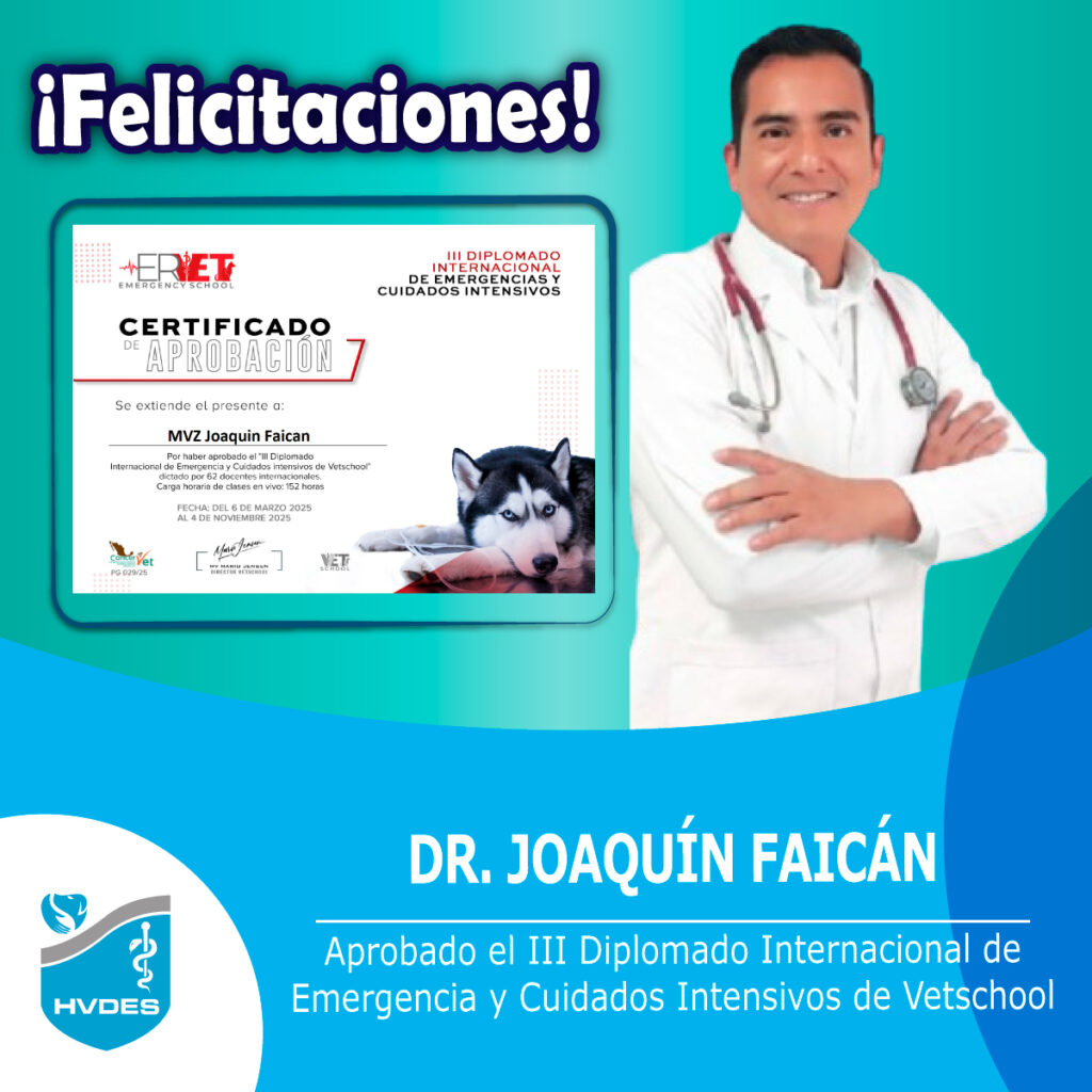 Dr. Joaquín Faicán, médico veterinario del HVDES, certificado en emergencias y cuidados intensivos veterinarios.