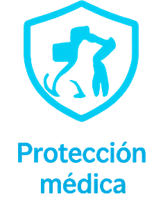Equipo de médicos veterinarios especialistas de HVDES en Quito