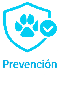 Atención veterinaria integral para perros y gatos en HVDES