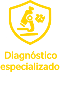 Tecnología médica avanzada para diagnóstico veterinario en HVDES