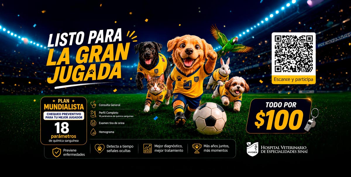 Polla Mundialista HVDES — Participa y gana premios