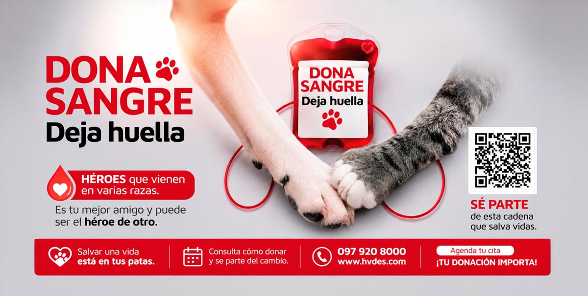 Banco Veterinario de Sangre HVDES — Dona y salva vidas