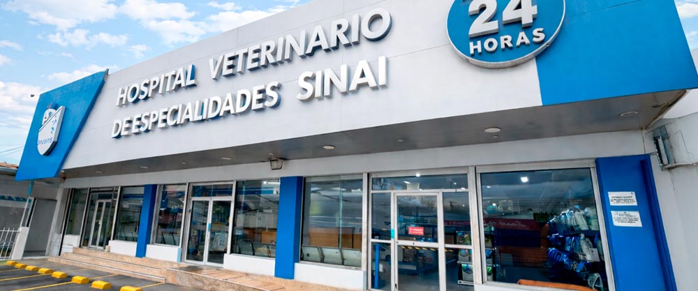 El mejor hospital veterinario de especialidades en Quito: por qué elegir HVDES