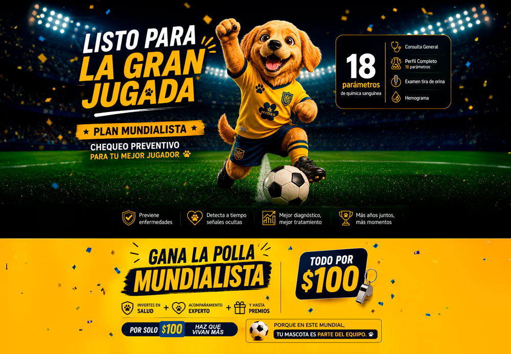 Patitas al Mundial · HVDES