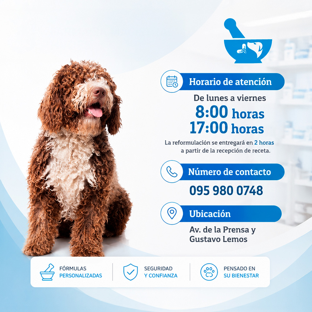 Horarios y Atención