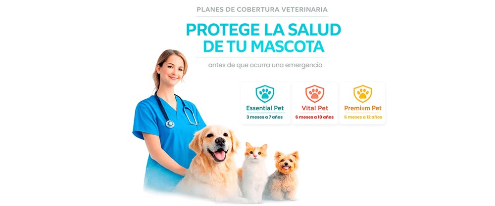 Seguros para mascotas y planes preventivos: especialidad a tu alcance