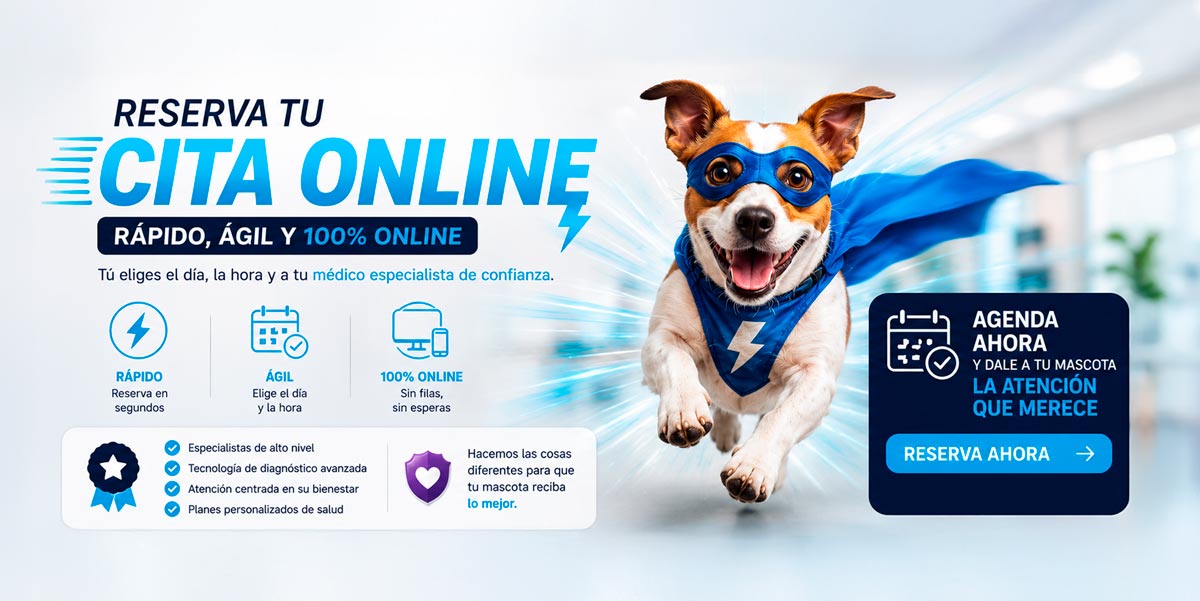 Reservas online HVDES — Agenda rápido con médicos especialistas